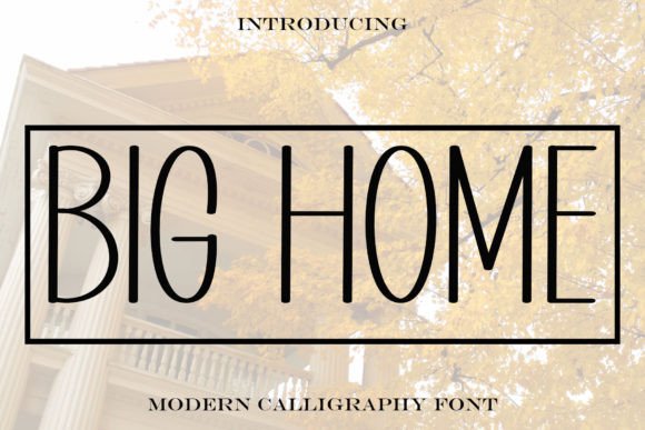 Big Home Font: A Designer’s Review for Campaign Visuals